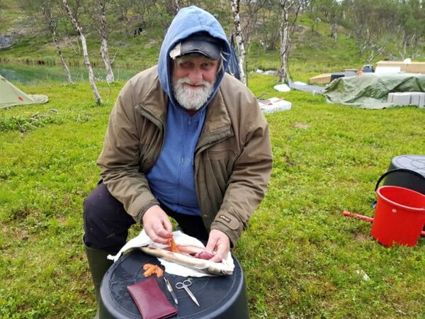 Er sjørøya i tilbakegang?
