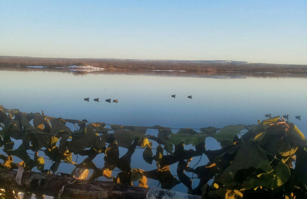 Lodden eller andejakt i Kautokeino.
 Foto: Ole Johnny Jansen