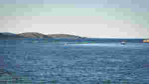 Nedgang, men fortsatt høy dødelighet