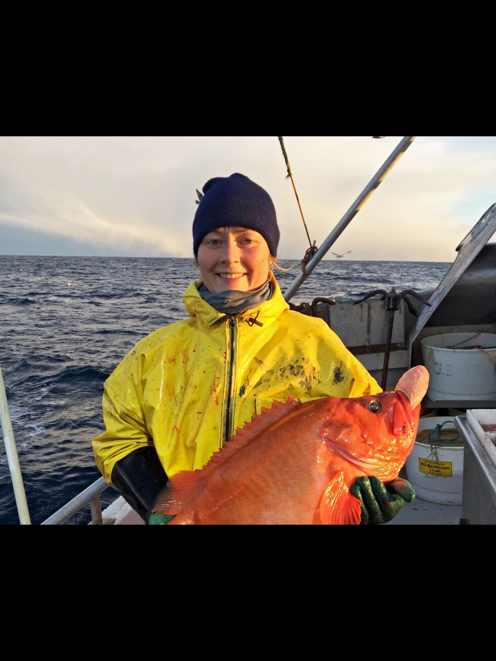 Fabrikksjef ved Norway Seafoods avdeling i Kjøllefjord, Ingvild Dahlen, sier de er avhengig av at fiskerne leverer råstoff hele året.