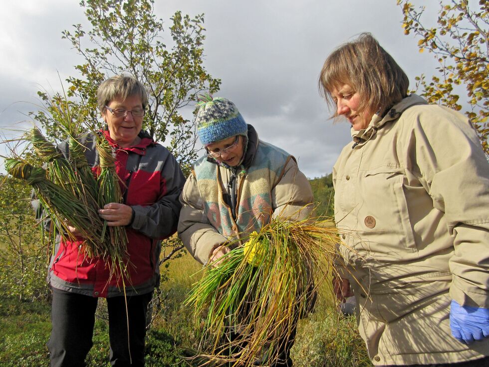 Moro å lage sennegressdukker! Evelyn Berglund, Lakselv, og Arnhild Kaaven, Børselv, følger med i det læreren forteller.
 Foto: Asfrid Karlsen