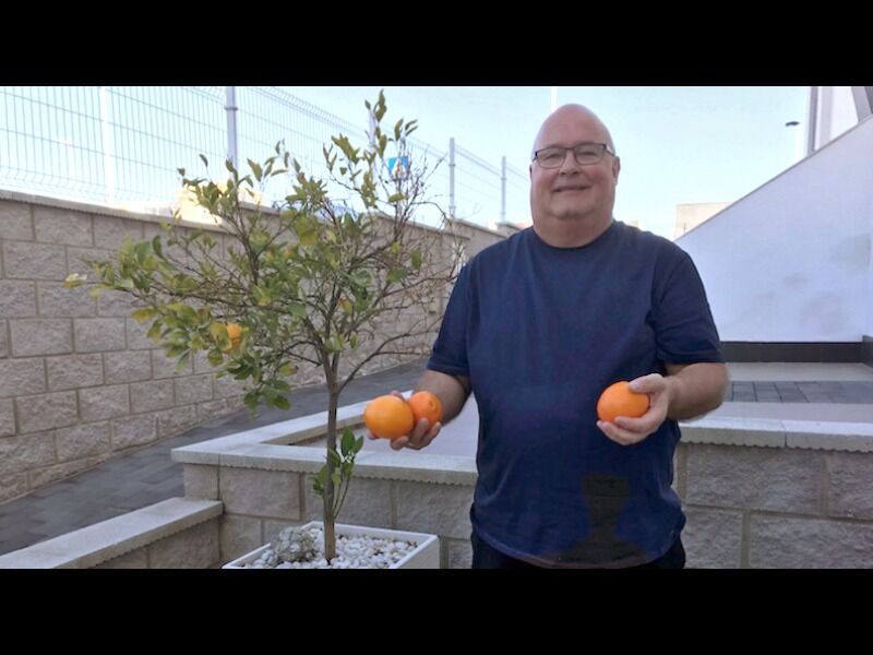 Roar Torvik tilbringer deler av året i Spania hvor han sammen med familien skaffet seg appelsintreet for ett år siden. Nå er første avling i boks.
 Foto: Privat
