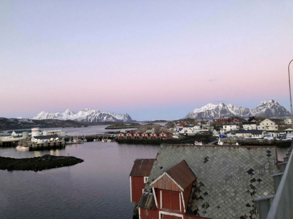 Svinøya i Svolvær, Lofoten. Ved Svinøya rorbuer bruker eier og ansatte tiden til restaurering, med økonomisk støtte fra Kulturminnefondet.
 Foto: Pia Wigtil/Kulturminnefondet