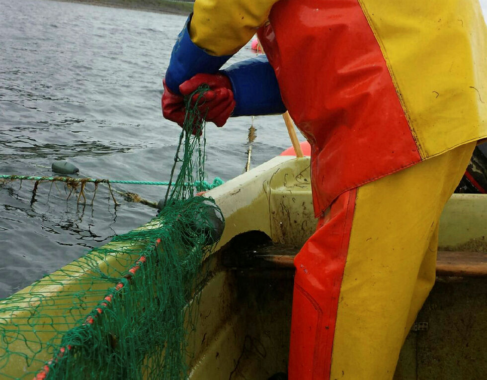 I ut­tal­el­sen fra års­mø­tet i Finnmark sjølaksefiskerforening er man klar på at myn­dig­het­ene ikke har lyk­kes med for­valt­ning­en av at­lan­ter­havs­laks­en.
Illustrasjonsfoto: Torbjørn Ittelin
 Foto: Torbjørn Ittelin
