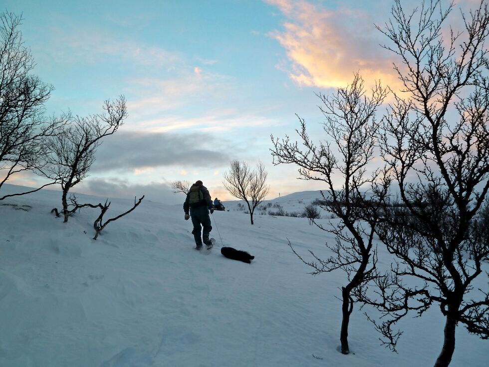 Foto: Berit Thomassen (arkiv)