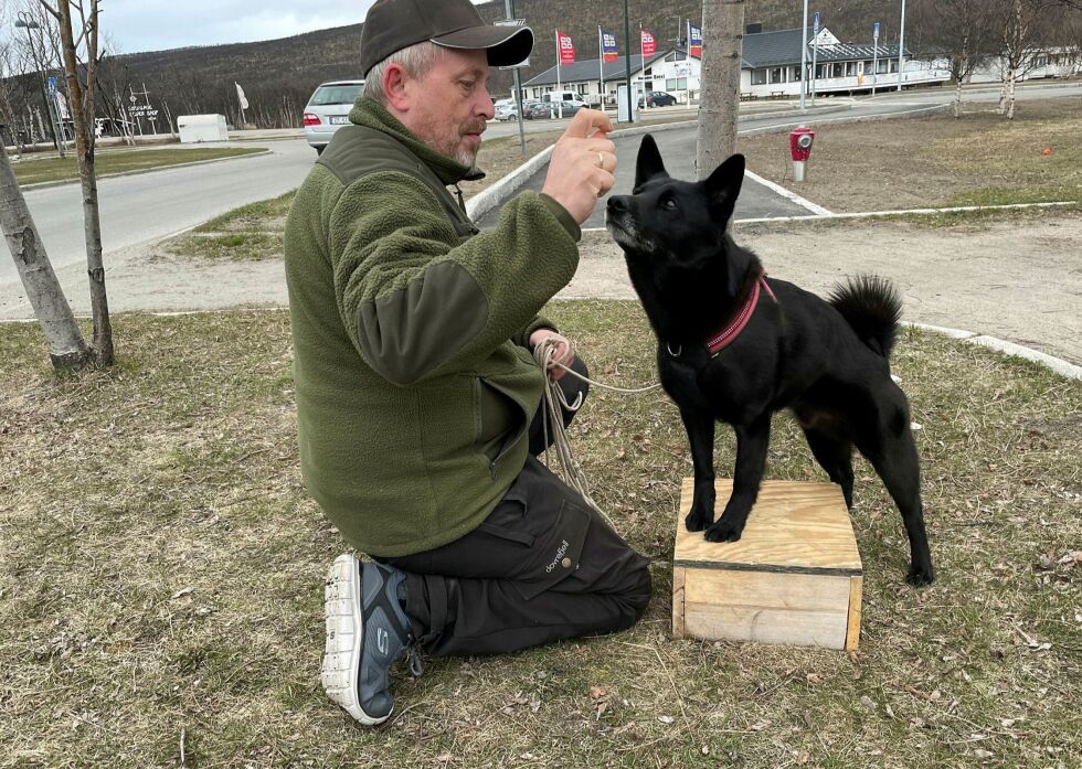 Jan Leonhardsen med Loke som ganske raskt kommer seg opp på kassa med forbeina.
 Foto: Birgitte Wisur Olsen