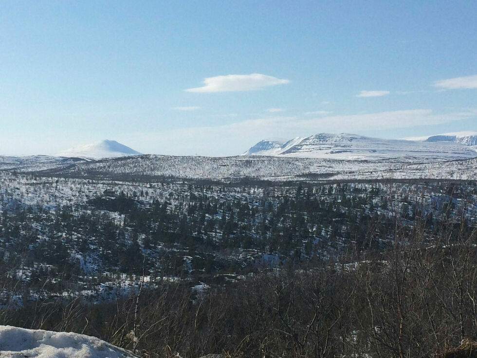 Fjellet Vuorji (til venstre) er Karasjoks høyeste fjell, og markerer kommunegrensa mot Porsanger. Til høyre er Váddásgáisá.
 Foto: Stein Torger Svala