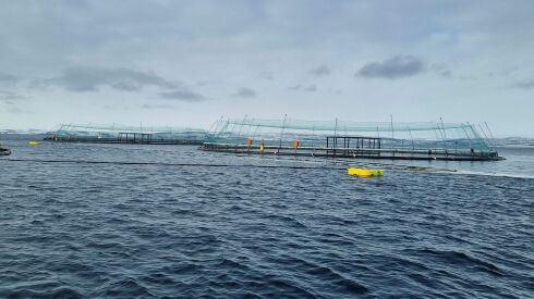 Etablerer nytt system for havbruk