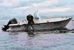 Fortsatt nei til laksefiske i sjø