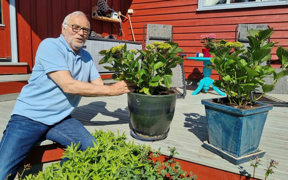 Bjørn innrømmer at han ikke er noen spesialist på blomster og hagestell, men bruker litt tid til dette hjemme i hagen i Peder Norviks gate i Vadsø.