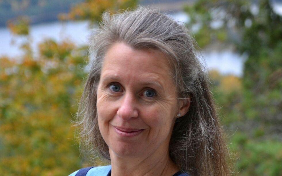Jurist Marianne Reusch, som blant annet har skrevet en omfattende bok om friluftsloven, mener at man ikke kun kan ta hensyn til denne loven, men også flere andre lover, for å finne en god løsning på Nordkapplatået. Hun viser blant annet til at man må ta hensyn til regler om samordningsplikt.
 Foto: Privat