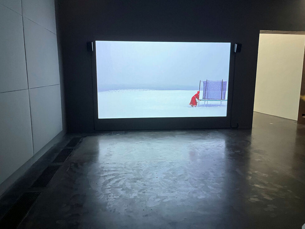 Marja Helander med «Trambo». Kunstneren har røtter både i Utsjok og i Helsinki.
Foto: Fra utstillingen på Kiasma