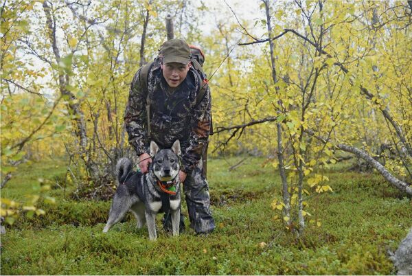 Disse vil jakte elg i Finnmark