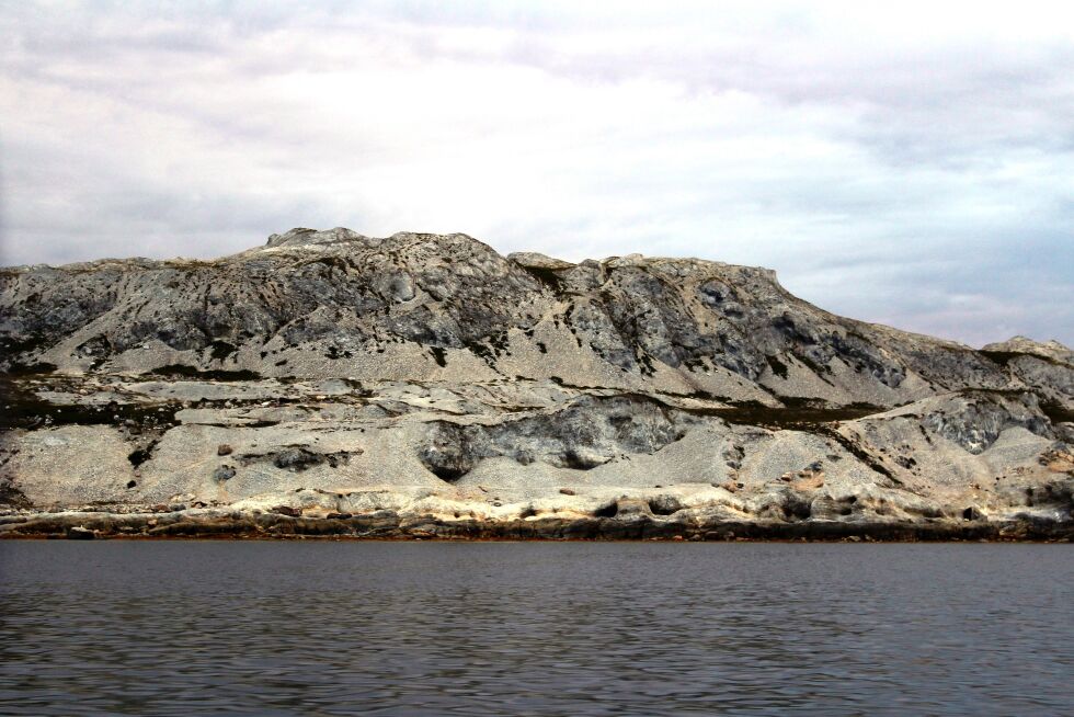 Reinøya er underlagt strengt vern som naturreservat. Men verneforskriften regulerer ikke beite på øya.
 Foto: Arkiv