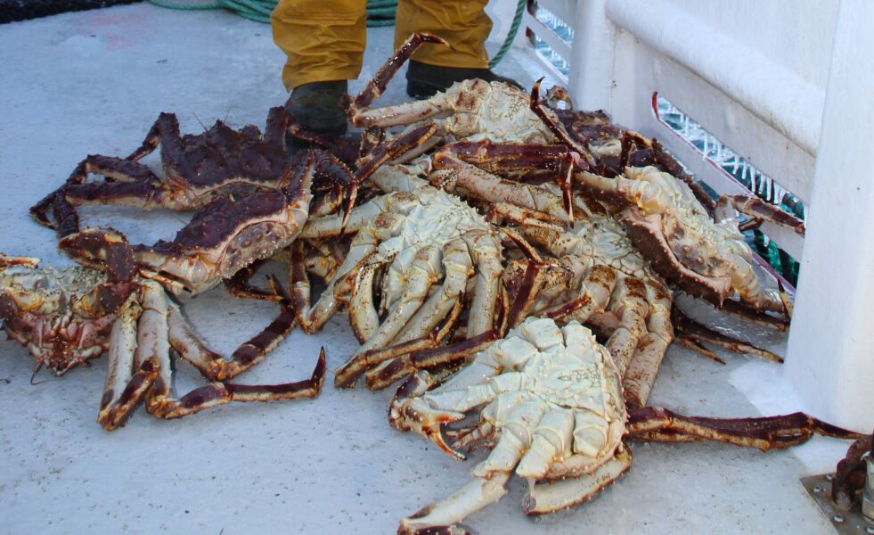 Et samlet Øst-Finnmark regionråd mener en økning av omsetningskrav for deltakelse i krabbefisket vil kunne slå forskjellig ut for fiskere ute ved kysten og inne i fjordene.
 Foto: Torbjørn Ittelin
