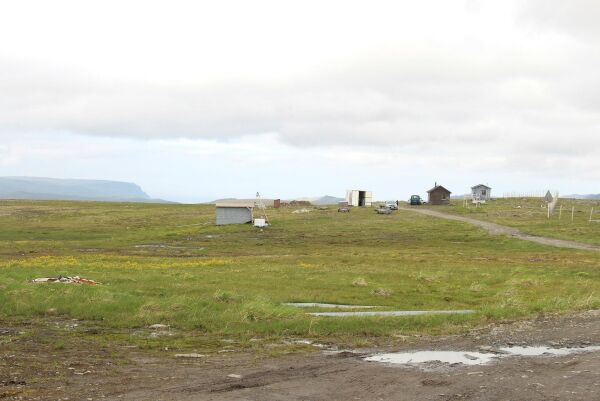 Kalvemerking på Nordkapp