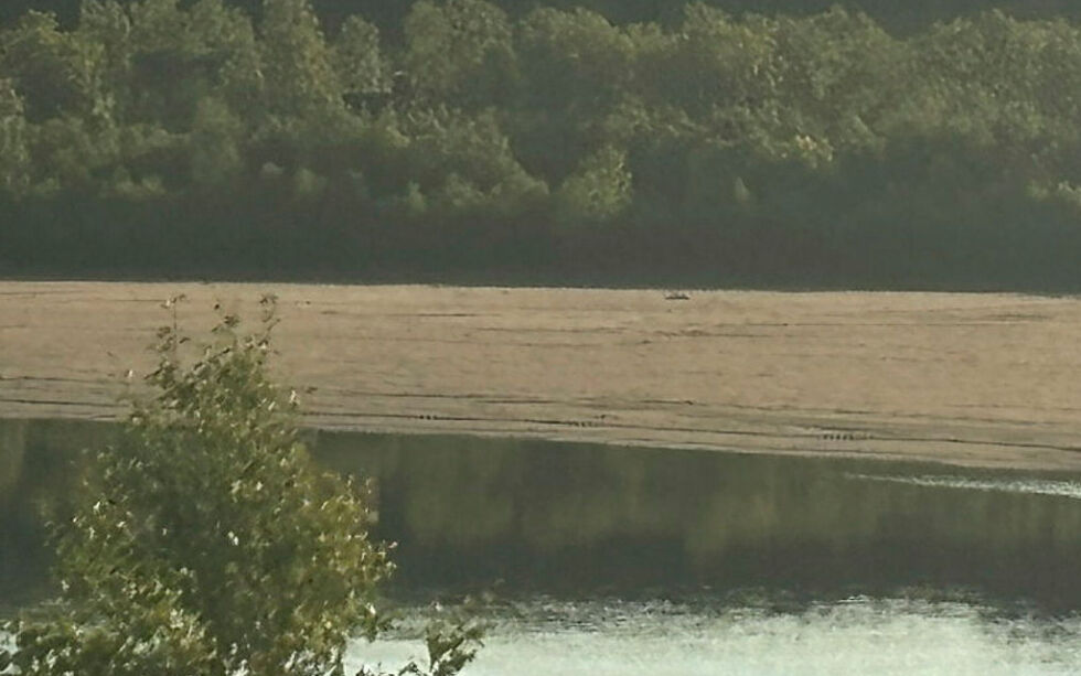 Samme strand sett fra norsk side av Tanaelva. Tak og pipe på avdødes hytte kan så vidt skimtes.
 Foto: Privat