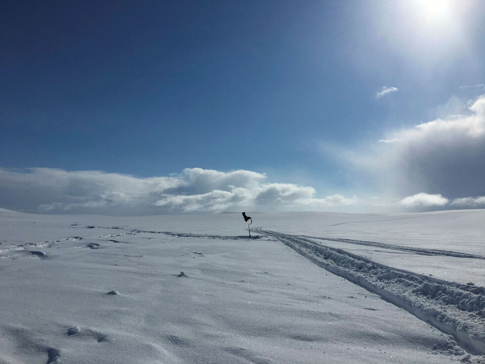 Hege Christin Bjørkmann (H) vil ha lokal kontroll over skuterløypene.
 Foto: Lisbeth Myrvang