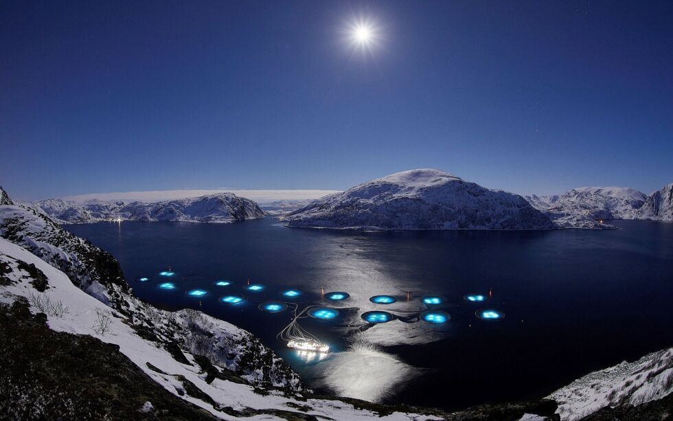 Et regjeringsutnevnt utvalg har fått frist til mars 2023 med å ta en gjen­nom­gang av hele til­la­tel­ses­sy­ste­met i hav­bruks­nær­ing­en.
Arkivfoto: Paul Nilsen