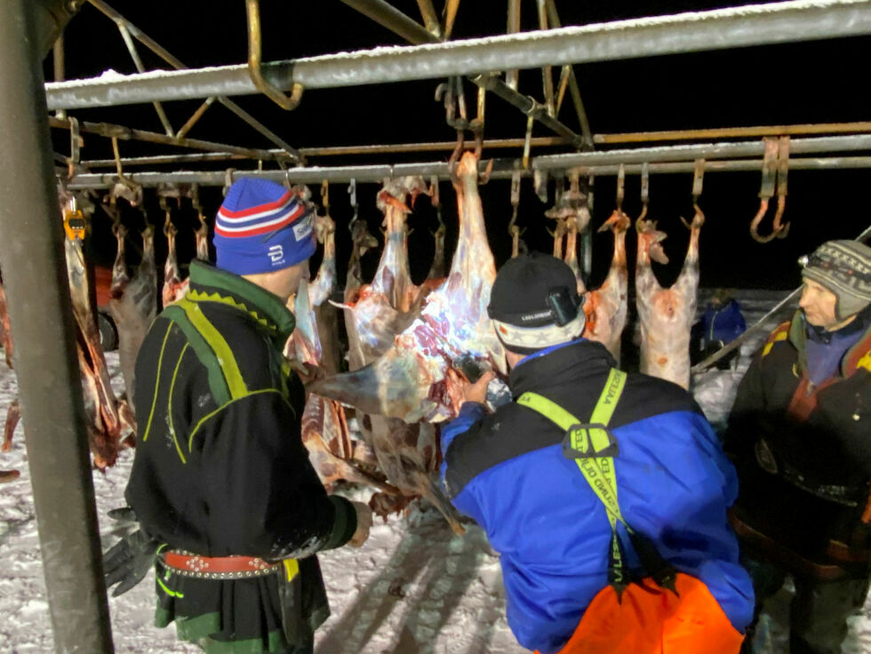 Østre Varanger reinbeitedistrikt gjør opp­merk­som på at distriktet er et helårs­dis­trikt og at det derfor kan fore­komme rein i alle del­er av dis­trik­tet, hele året.
 Foto: Hallgeir Henriksen