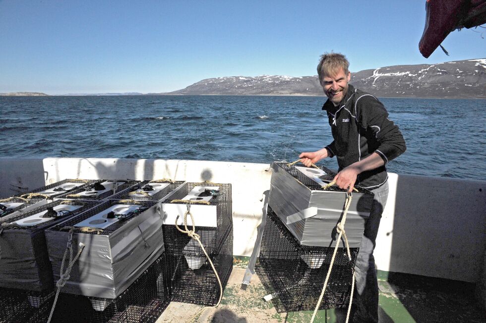 Dersom Fiskeridirektoratets forslag blir vedtatt, vil reketeinefisker og leder i Finnmark Høyre, Jo Inge Hesjevik, fra neste år få konkurranse om rekene i Porsangerfjorden.
 Foto: Hannah Persen
