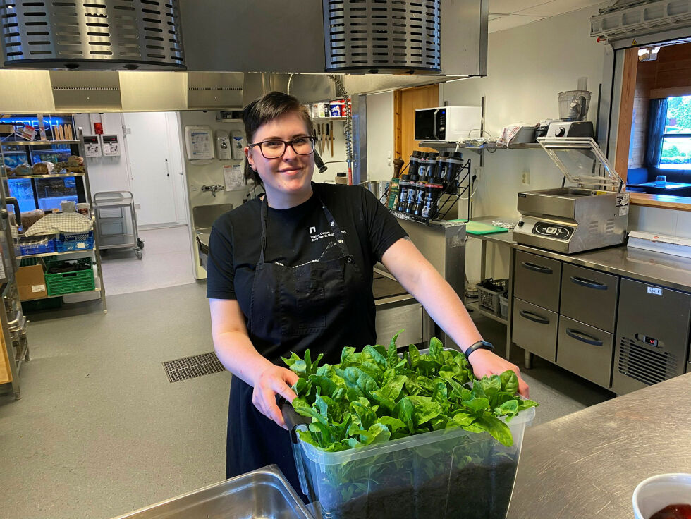 Foruten lokale råvarer som kjøtt og fisk, byr Svanhovd i sesong på ferske grønnsaker som denne salaten Marie Jahre Wikan viser frem.
 Foto: Hallgeir Henriksen