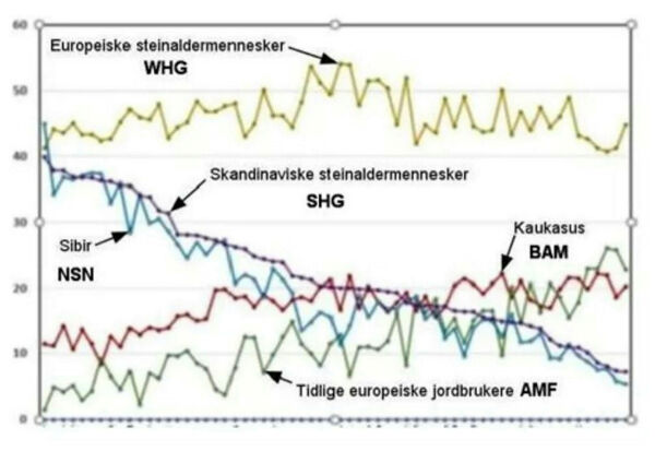 Hellesvik har fortsatt ikke har lykkes med å sette seg grundig inn i hva Figur 4 har å fortelle