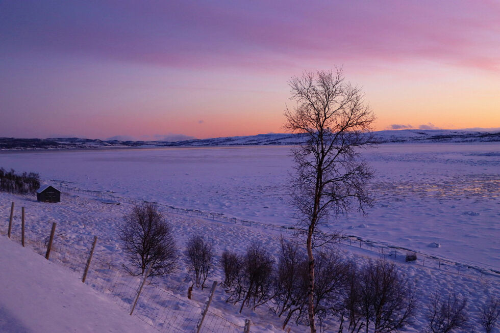 29. desember var det det fint lys, og man merker allerede at sola har snudd. Bildet er tatt innerst i bukta i Varangerbotn, der isen har lagt seg. Til venstre ses høyskjåen til min avdøde nabo Edvin Tapio, og så kan man skue utover fjorden  mot Nesseby.
 Foto: Mari-Ann Nilsen