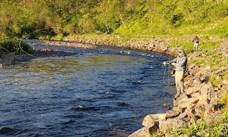 Fangstene varierte stort i elvene i landet i 2018. Totalt sett ble det den laveste fangsten av laks, sjøørret og sjørøye siden 1988.
 Foto: Torbjørn Ittelin