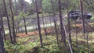 Over 100 furutrær knakk som fyrstikker i møte med onsdagens tordenvær i Karasjok