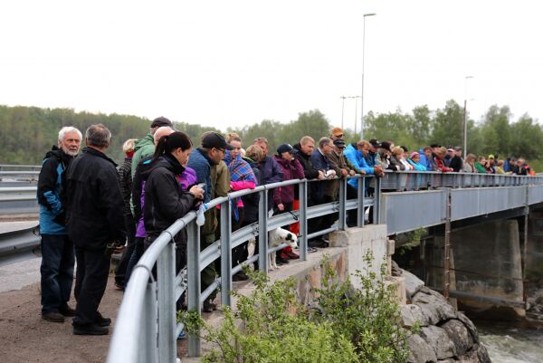 Spennende lakseåpning