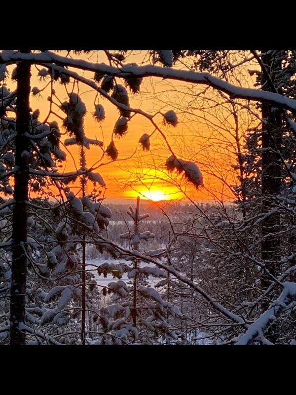 Første soldag i Pasvik