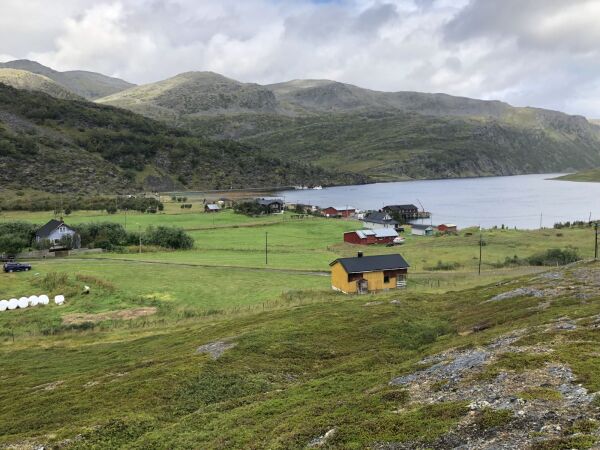 Sommerfuglen, flaggermusa og viruset