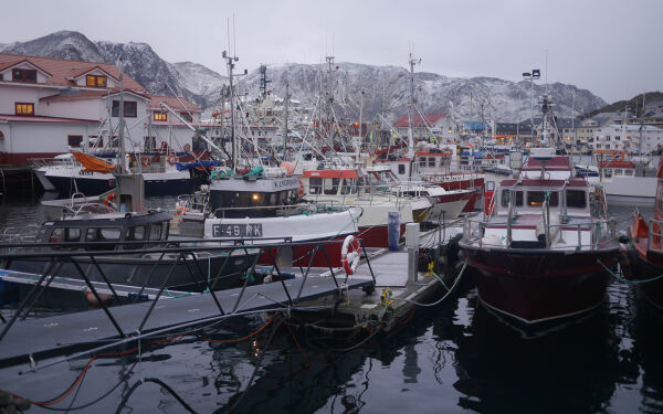 Rasisme, samehat og Finnmark APs leder