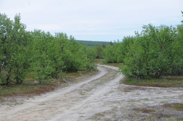 Neiden vil ha svar  om barmarksløyper