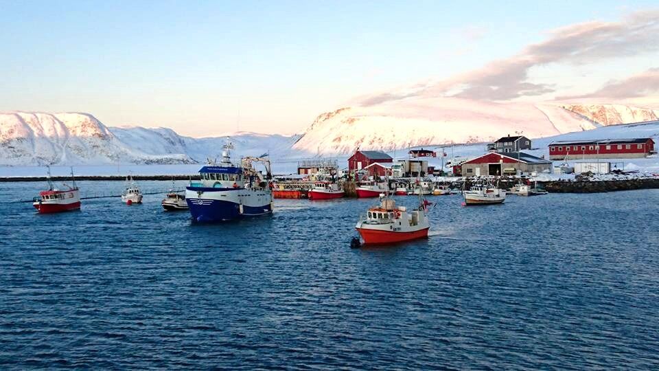 Dette er havna på Veidnesklubben en fin januardag i år. Fordi kommunen mener havna trenger så mye mer enn flytebrygger for å bli en tlfredsstillende fiskerihavn, ønsker man at staten skal fullfinansiere oppgraderingen på Veidnes.
 Foto: Svein Vegar Lyder