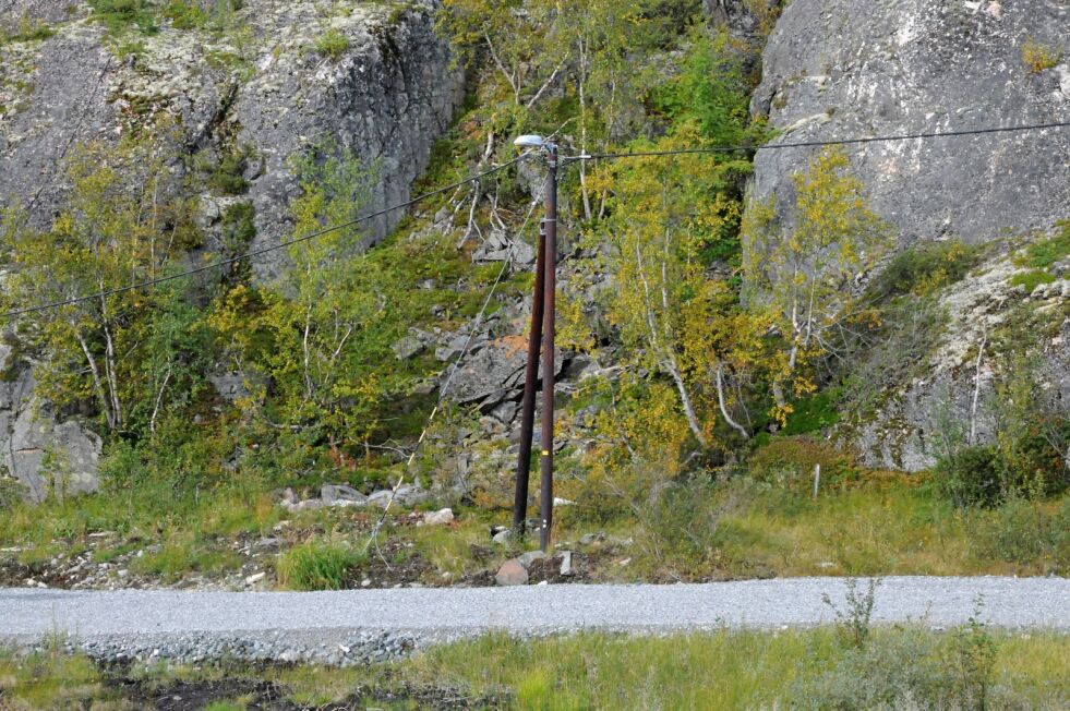 Lysløypa mellom Kirkenes og Bjørnevatn er mye brukt, også etter mørkets frembrudd.
 Foto: Hallgeir Henriksen
