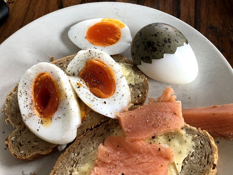 : Måseeggsesongen er i full gang, og kvaliteten på årets egg synes å være aldeles utmerket.
 Foto: Halllgeir Henriksen