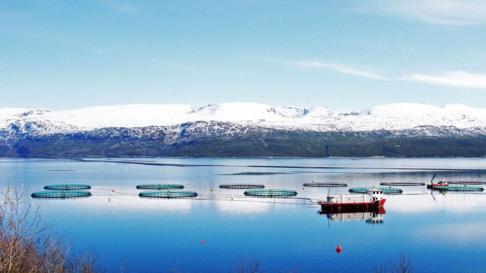 Illustrasjonsfoto: Elin M Wersland