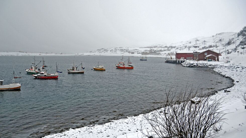 – Hvis kvotetaket for kystflåten heves og regionsbindinger for flytting av kvoter oppheves, kan en negativ utvikling skyte fart, mener Norges Kystfiskarlag.
 Foto: Oddgeir Johansen