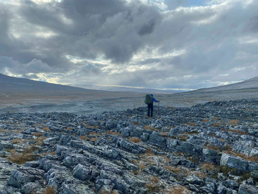 «tVerdiløst landskap og bare stein» sier utbyggere om et av Finnmarks mest utrolige områder.  For de fleste av oss som bor her er akkurat disse områdene, vidda, faktisk grunnen til at vi bor her og det som gjør Finnmark så unikt
 Foto: Ragnhild Rajala Lautz