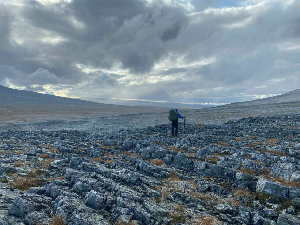 «tVerdiløst landskap og bare stein» sier utbyggere om et av Finnmarks mest utrolige områder.  For de fleste av oss som bor her er akkurat disse områdene, vidda, faktisk grunnen til at vi bor her og det som gjør Finnmark så unikt
 Foto: Ragnhild Rajala Lautz