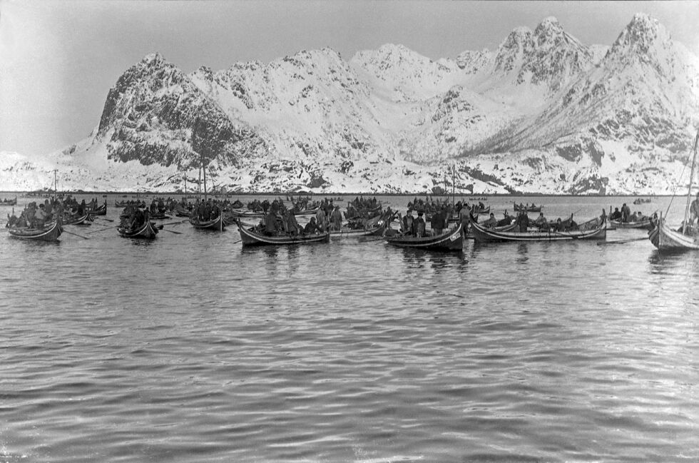 En del av lofotflåten i godvær tidlig på 1900-tallet. Bildet viser trolig ei blanding av norske og samiske båtlag. Slik hadde det vært i århundrer.
 Foto: Lofotmuseet / Museum Nord