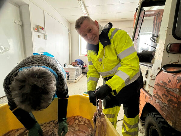 Guhtemága frem fra glemselen