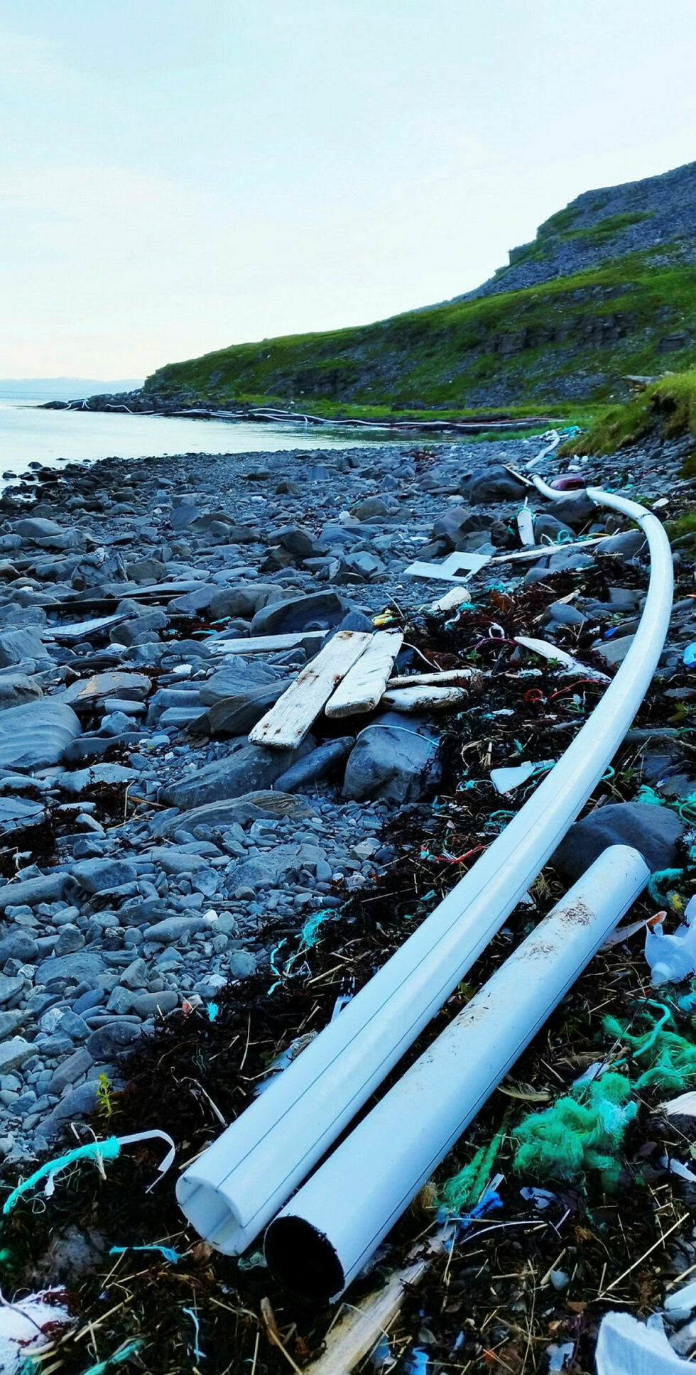 Dette bildet tok Niillas Somby i fjæra ved Vannfjorden.
 Foto: Niillas Somby