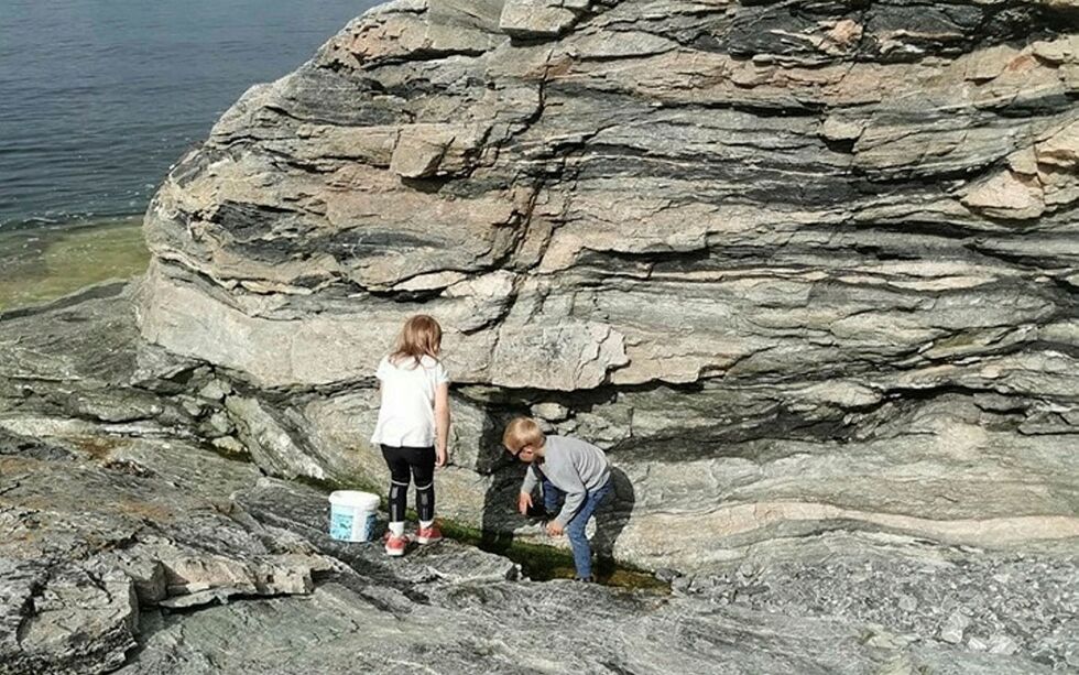 Det blir sommercamp for samisktalende barn i Alta. – Vi har snakket lenge om en samisk sommerleir, forteller Brita Julianne Skum om leiren med plass til femten. Arrangør er Álttá siida kulturviessu. Foto: Brita Julianne Skum