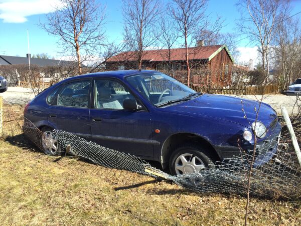 «Parkerte» oppå treet