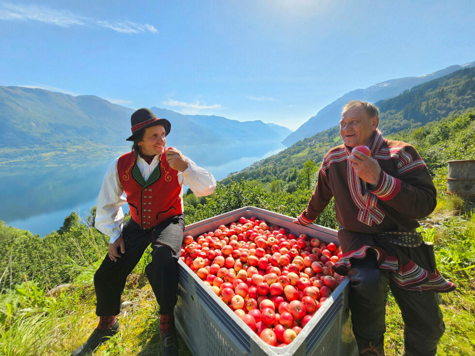 I Sesong 1 av «Søringen & samen» fikk Anders Kråkevik oppleve livet som reindriftssame, i lag med Mathis A. Oskal. I sesong 2 er det Mathis som får være med Anders og oppleve livet som eplebonde på Vestlandet.
 Foto: Søringen & samen, Kråkevik film.