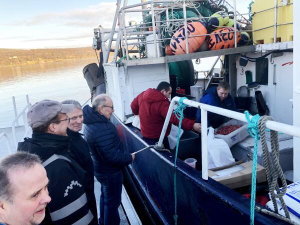Siste rekebåt i Kirkenes