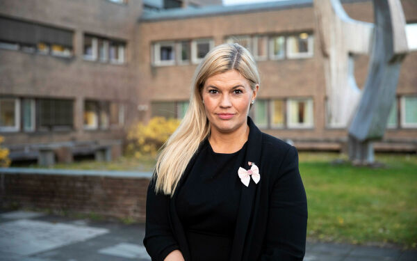 Etablerer innspillspanel